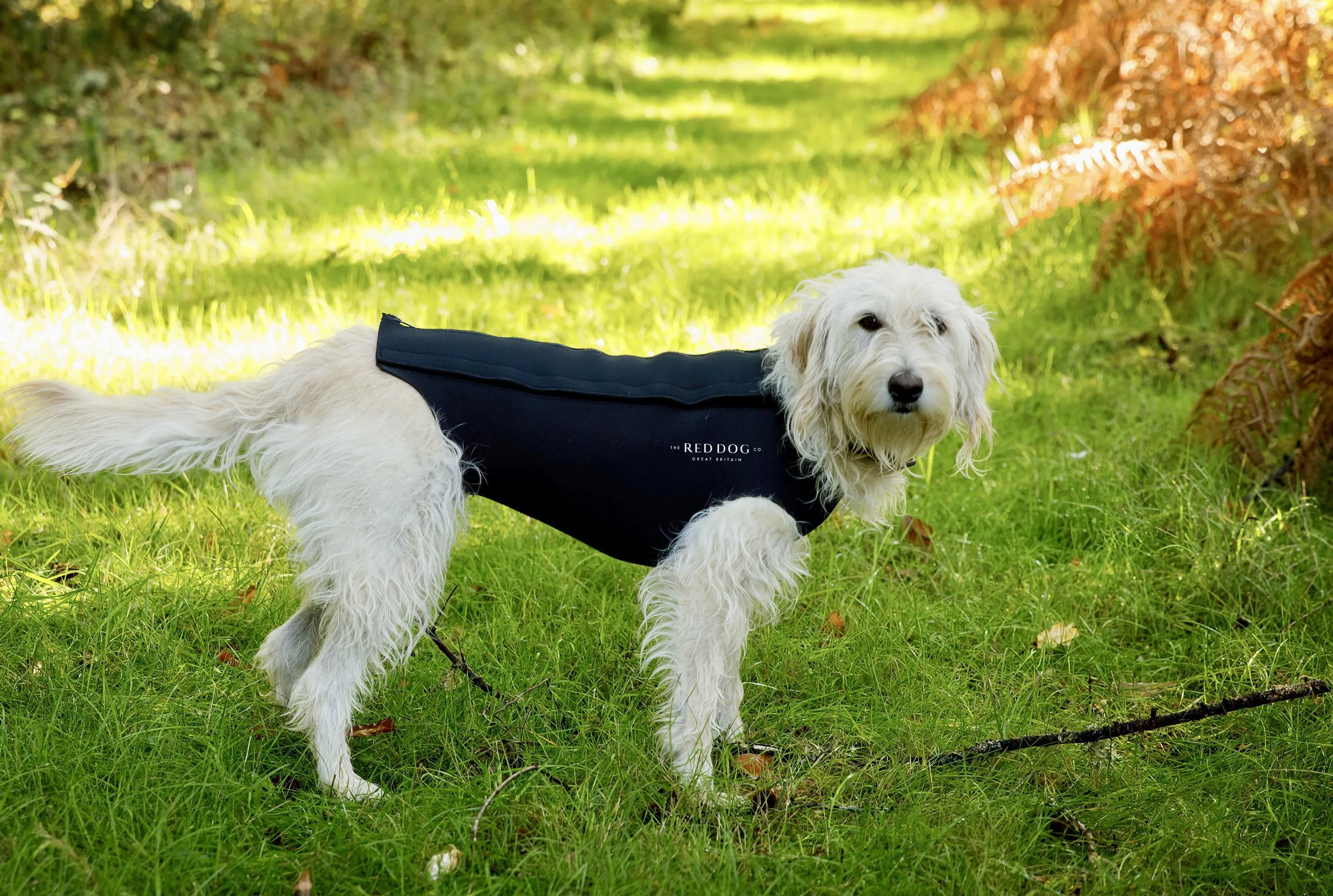 Active Dog Coat - Black