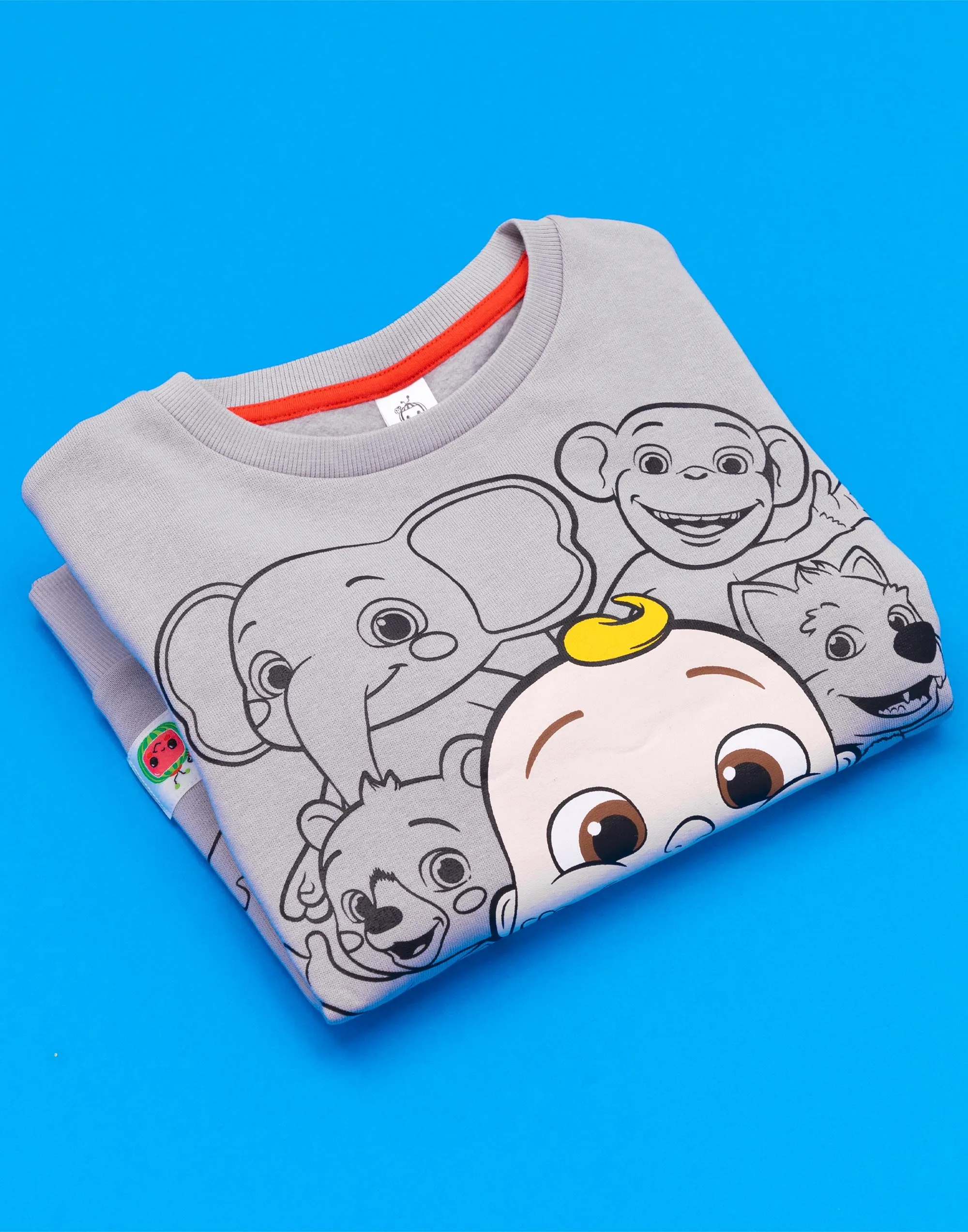 Cocomelon Multi-Character Placement Print Unisex Kids Grey Sweatshirt