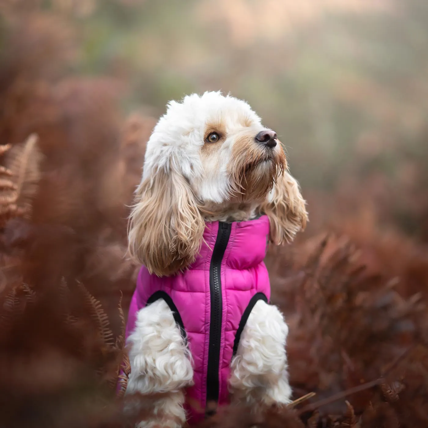 Hugo & Hudson Reversible Pink & Grey Puffer Jacket