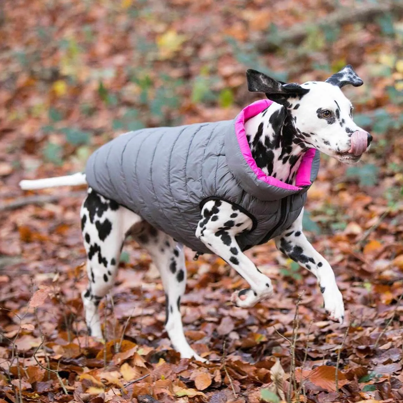 Hugo & Hudson Reversible Pink & Grey Puffer Jacket