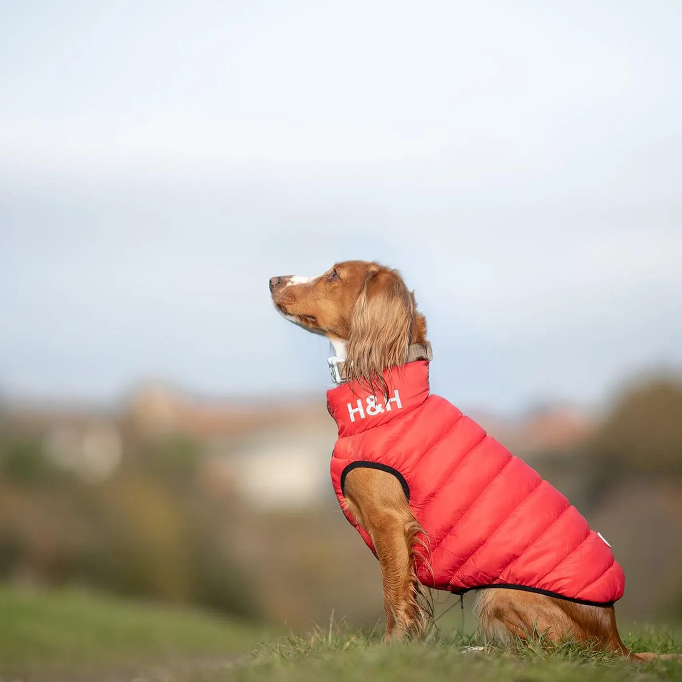 Hugo & Hudson Reversible Red & Navy Puffer Jacket