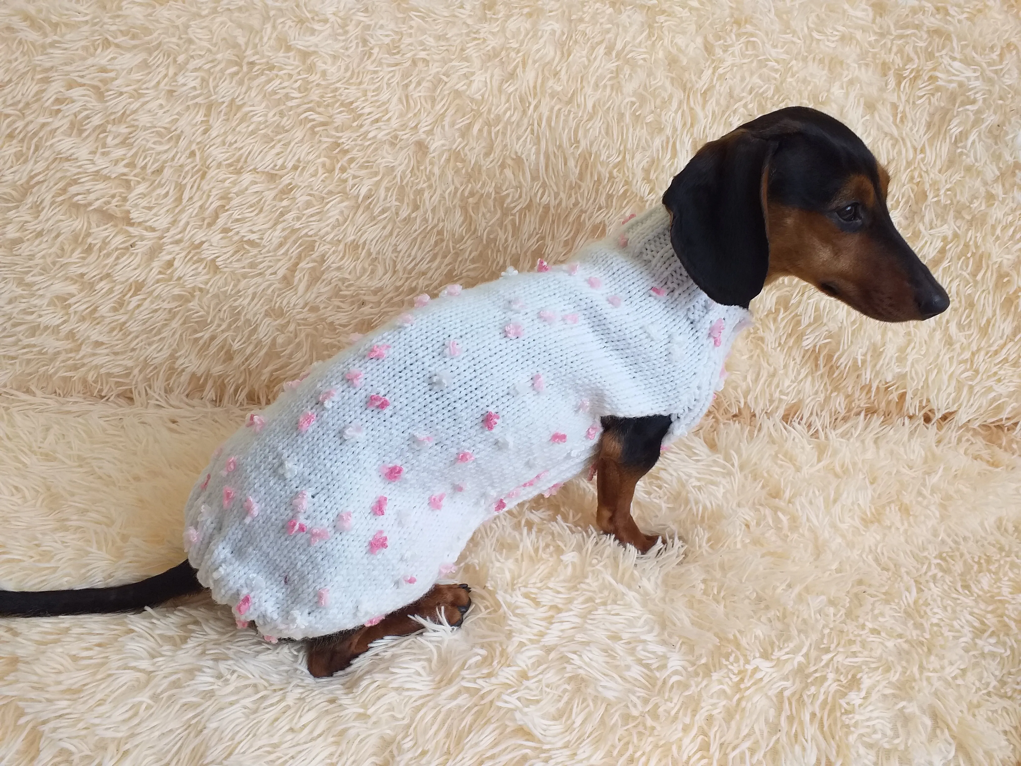 Spring sweater for dog with butterflies and flowers, clothes for dachshund with flowers and butterflies