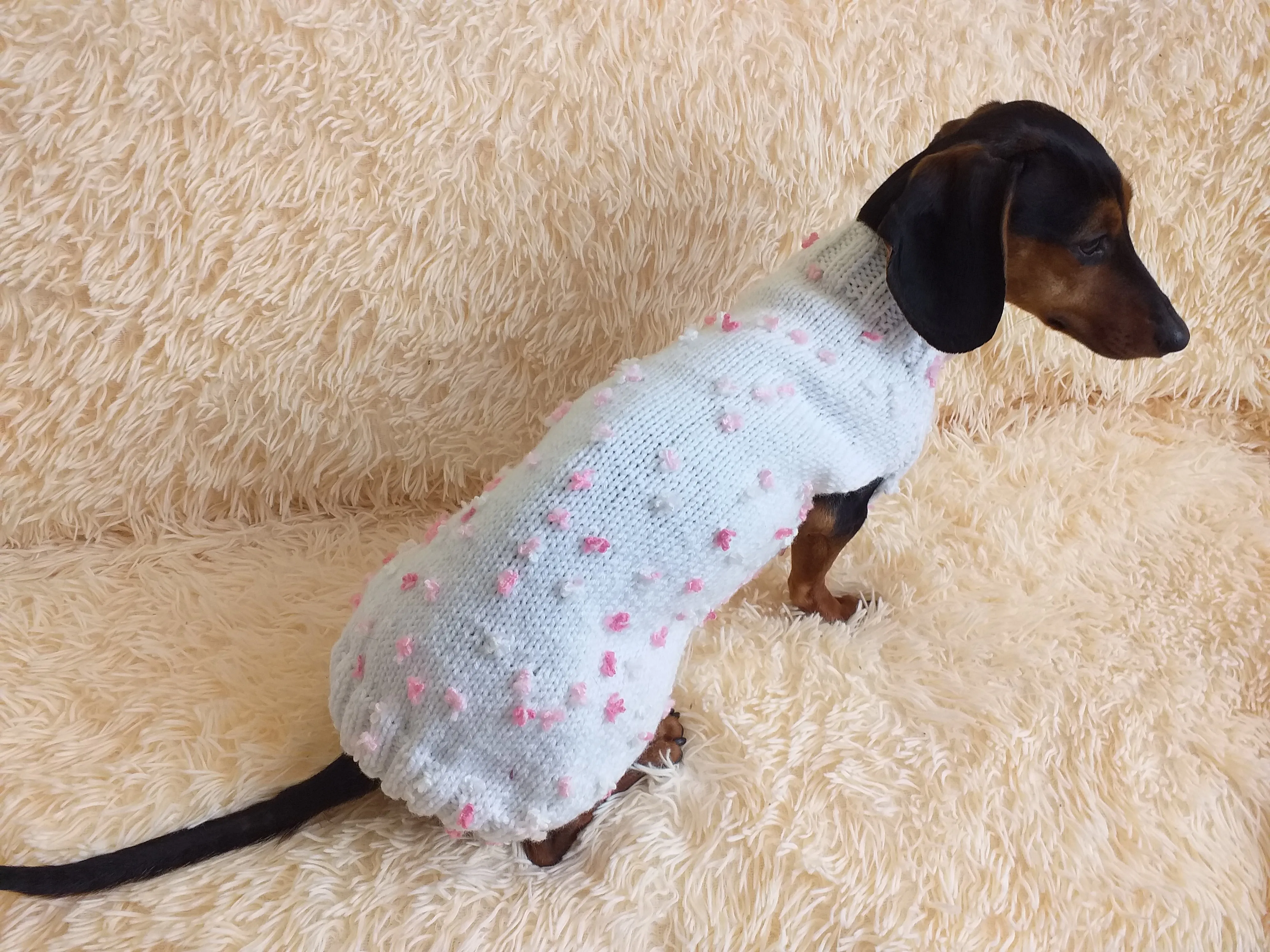 Spring sweater for dog with butterflies and flowers, clothes for dachshund with flowers and butterflies